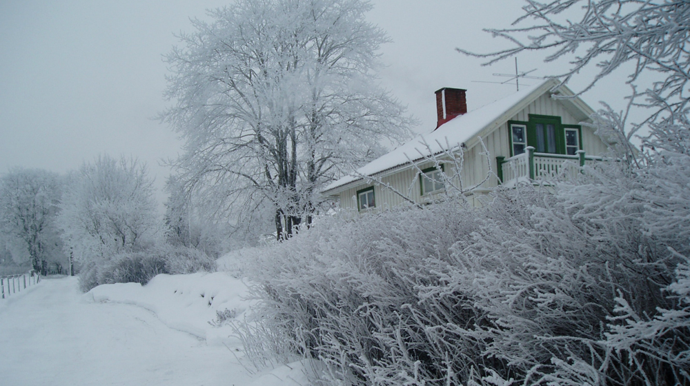 White house covered in snow.