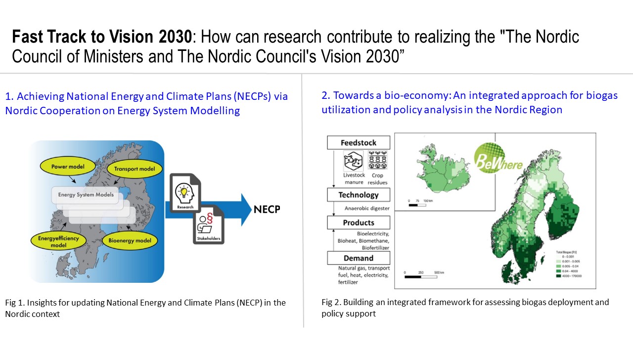 Fast track vision 2030 strategy